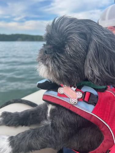 Pup boat cruise in the Narrows.jpg