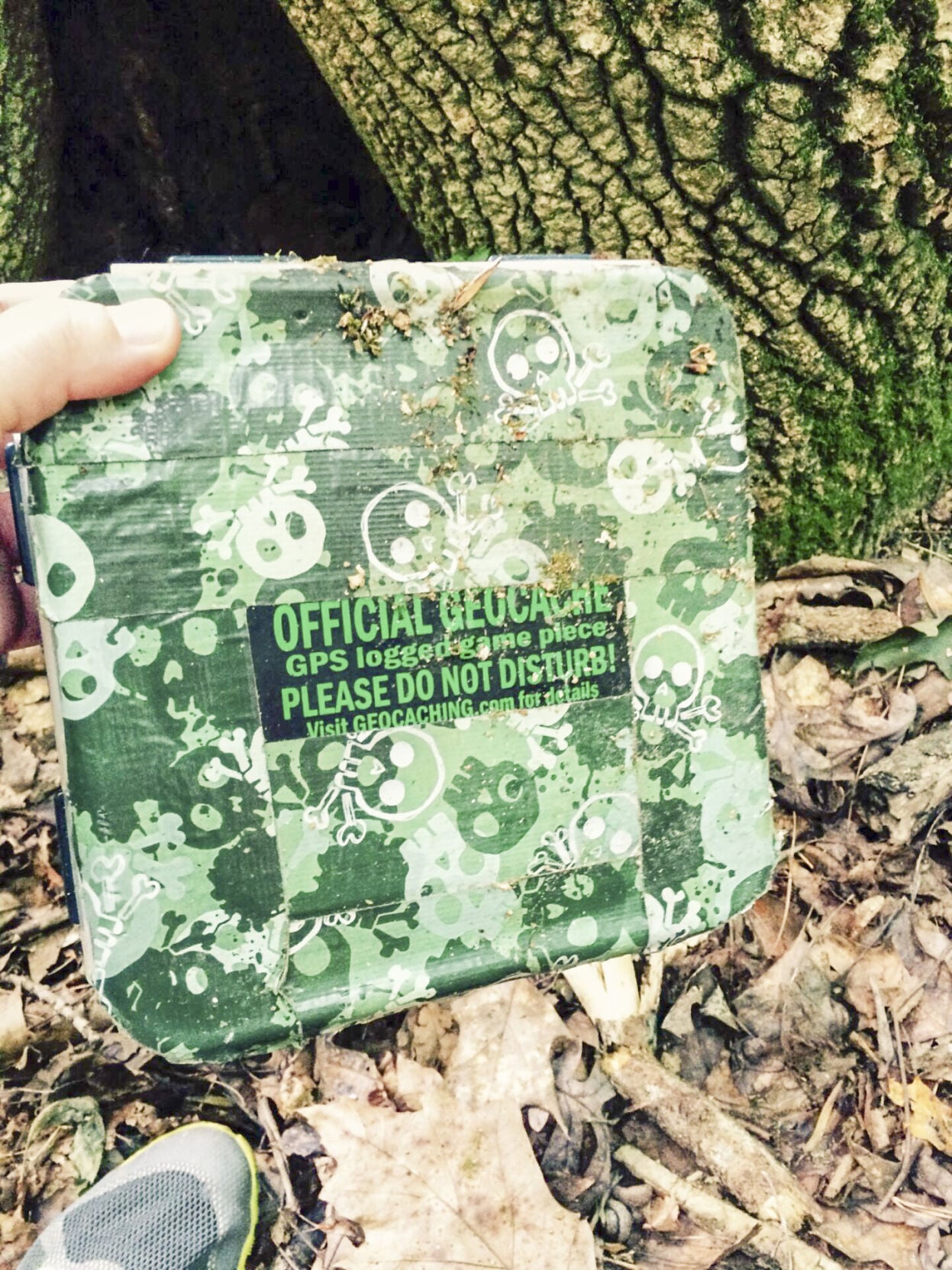 Search for Hidden Treasure