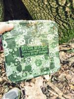 Search for Hidden Treasure
