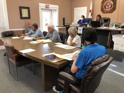 Eclectic town council