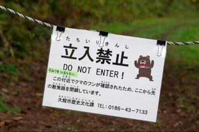 Bears have killed a record 13 people this year in Japan