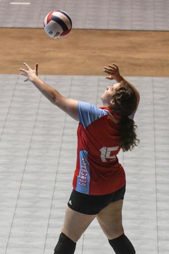 PHOTOS: Horseshoe Bend volleyball advances to state playoffs