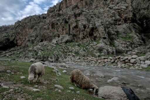 Some herders have had to change their habits due to the threat of drone strikes