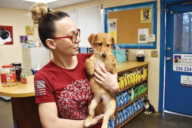 Lake Martin Animal Shelter sees less pets euthanized, more adopted in 2019