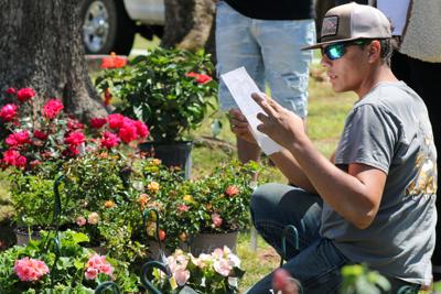Master Gardeners gives away hundreds of trees