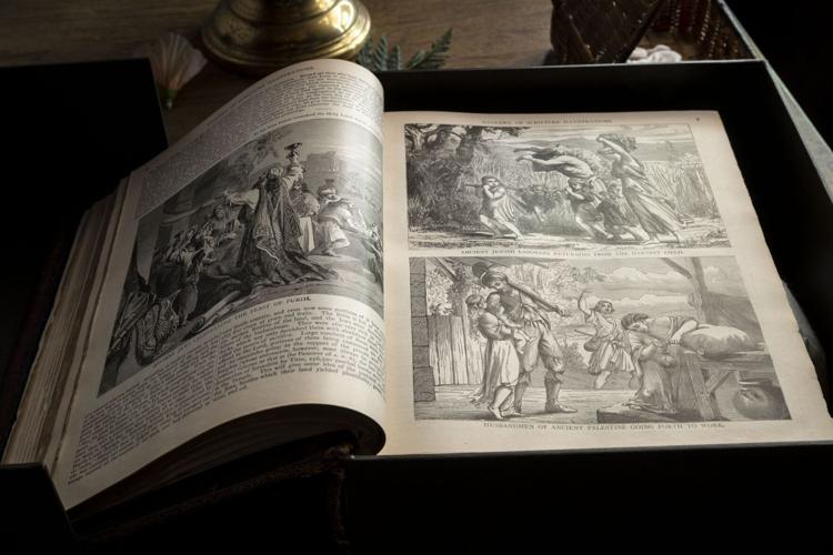 Universal Splendor in Camp Hill