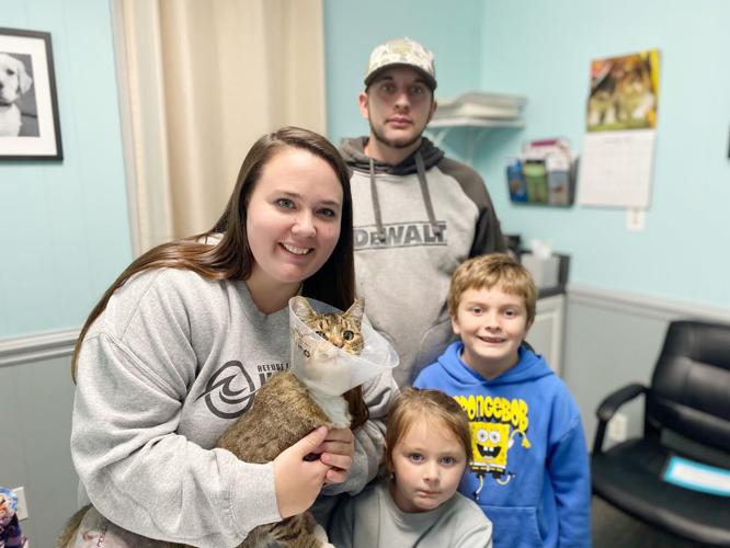 20251203 Cat Rescue 1.jpg