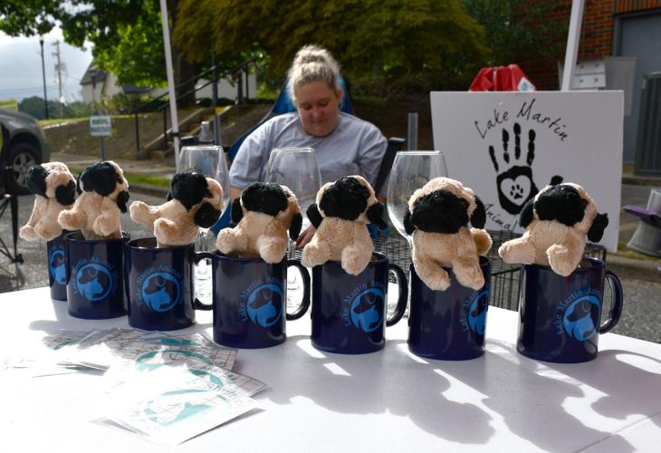 PHOTOS: Labor Day weekend kicks off with Alex City Farmers Market
