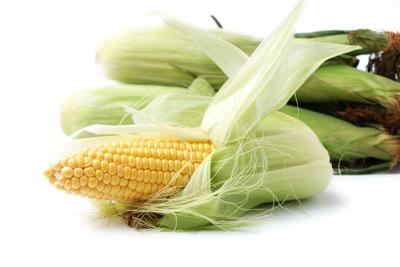 Select the best corn without secret shucking