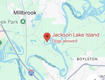 Googlemaps / Special Jackson Lake Island