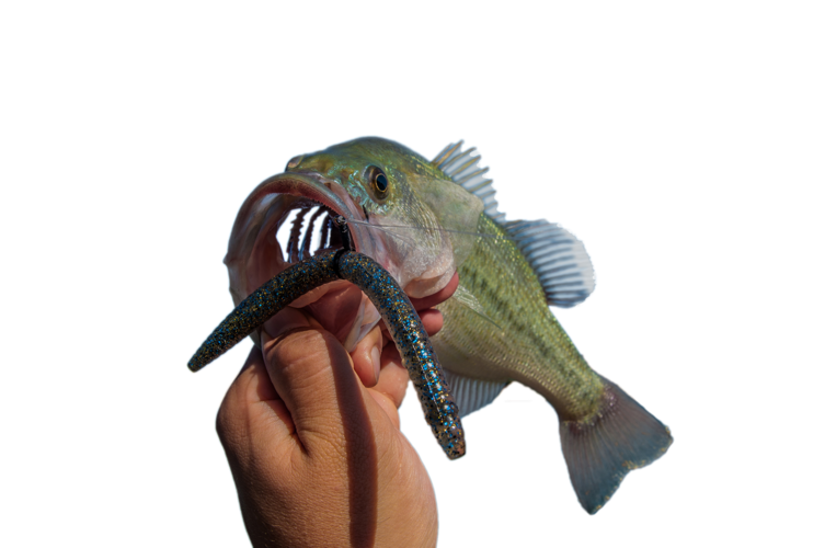 Just Below the Surface