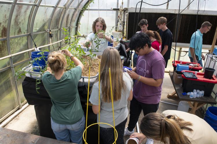 PHOTOS: Growing tilapia and tomatoes at Tallassee High School