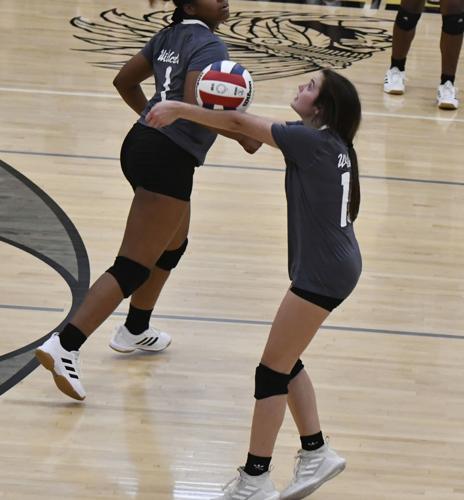 Benjamin Russell area tournament volleyball