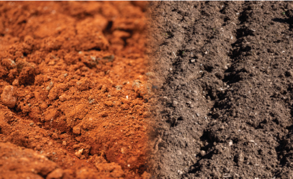 It all starts with the soil