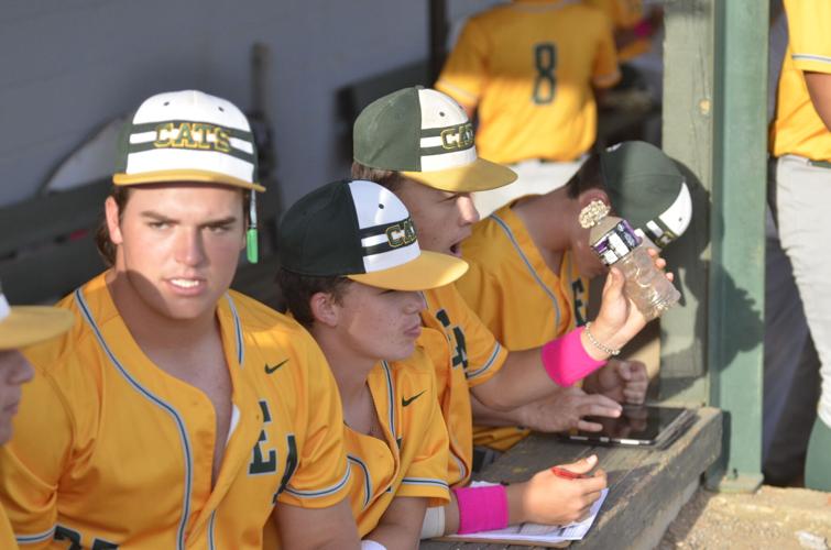 PHOTOS: Edgewood baseball advances to state final four