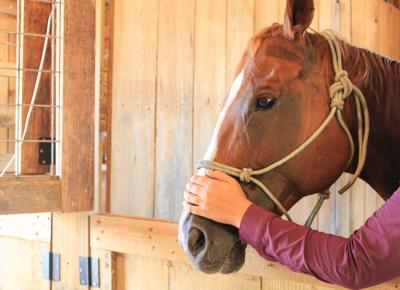 MK Training and Sales comes to Camp Hill