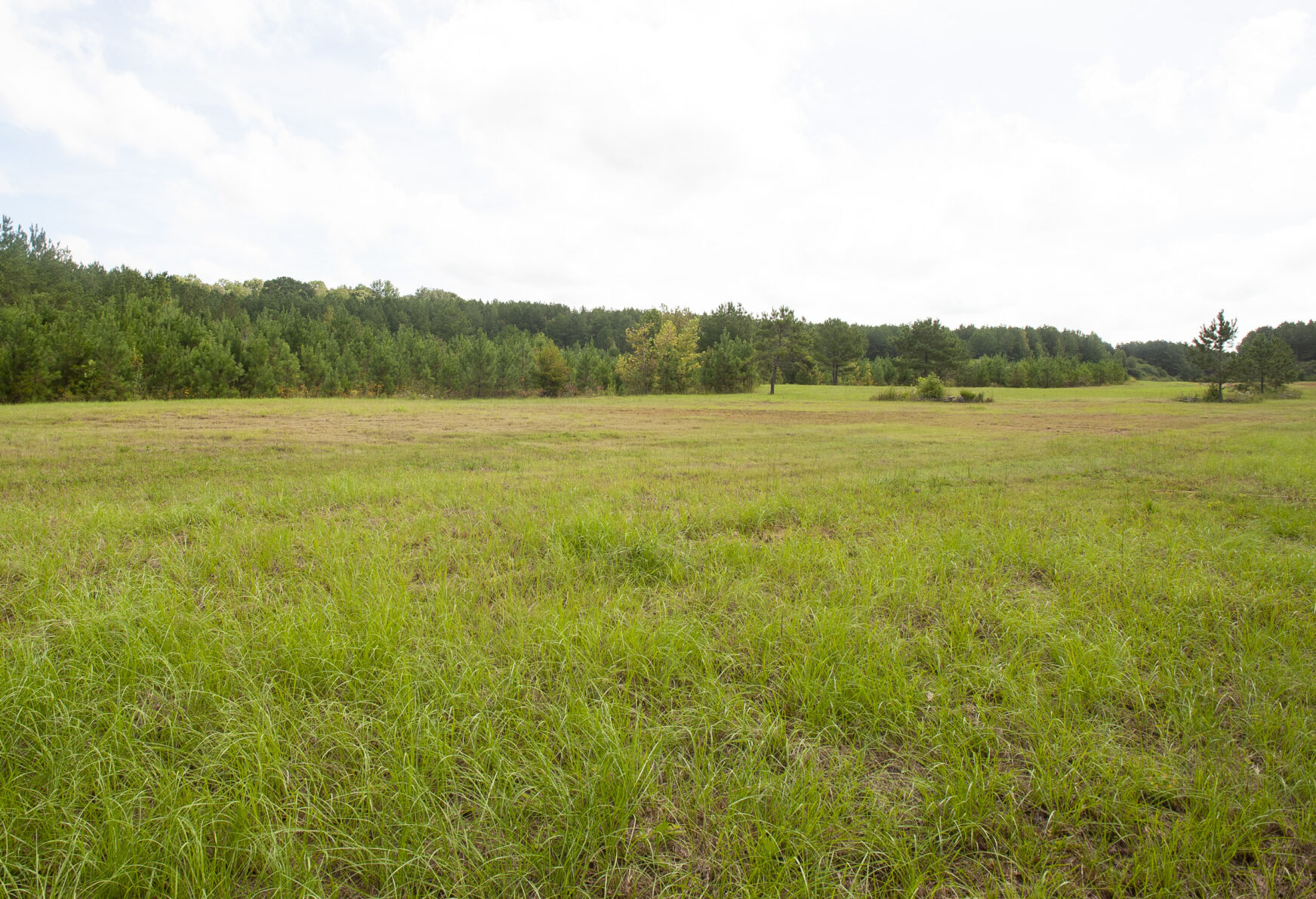 New industry to locate in Dadeville