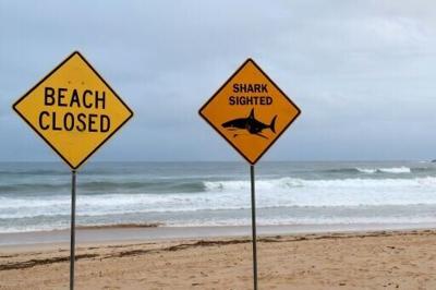 Authorities warned surfers and swimmers to stay out of the water after a spate of shark attacks in Australia's state of New South Wales