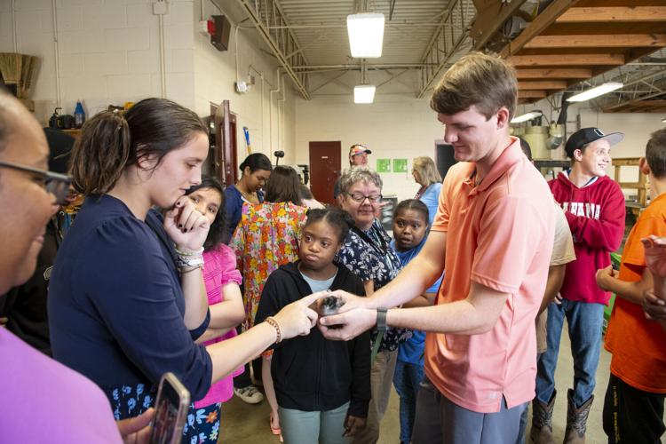 PHOTOS: Stanhope Elmore's SuperKids visit ag department chickens
