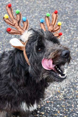 121025 downtown christmas10.jpg