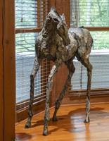 The house that love drew