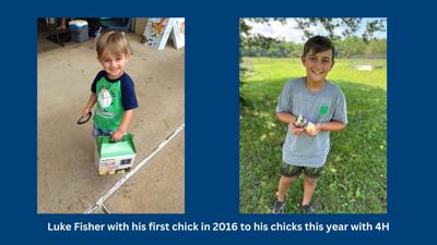 First-year 4-H member gears up for poultry show