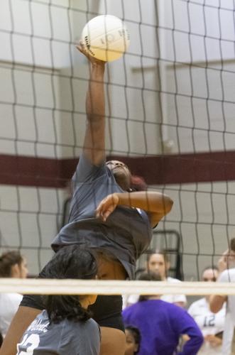 PHOTOS: Elmore County volleyball hosts block party