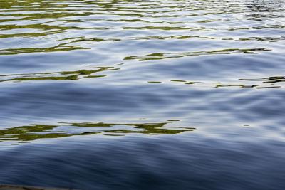 Lake watch for Clean Water Advocacy