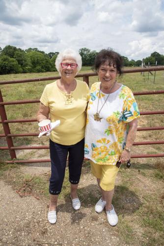 Oh Snap! Blue Ribbon Dairy Farm
