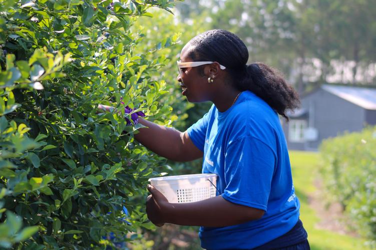 PHOTOS: Living Stones Community local mission trip