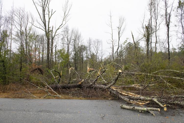 PHOTOS: Storm damage across Elmore County