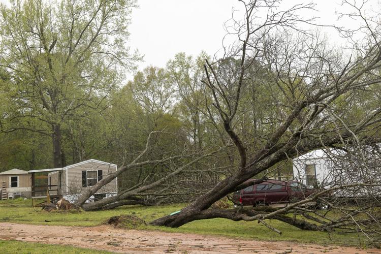 PHOTOS: Storm damage in Elmore County