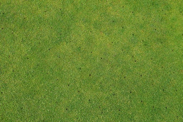 What you can do for your golf course