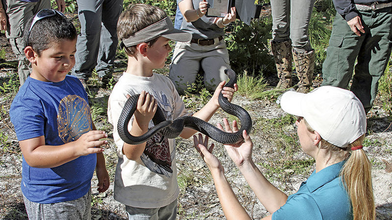 Eastern indigo release adds 26 to Conecuh Forest