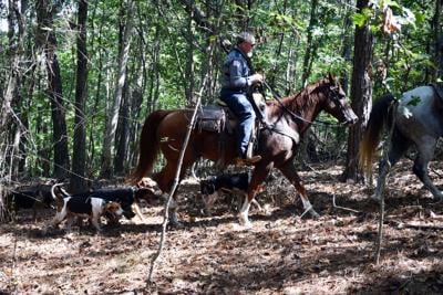 Texas Horse DOC.jpg
