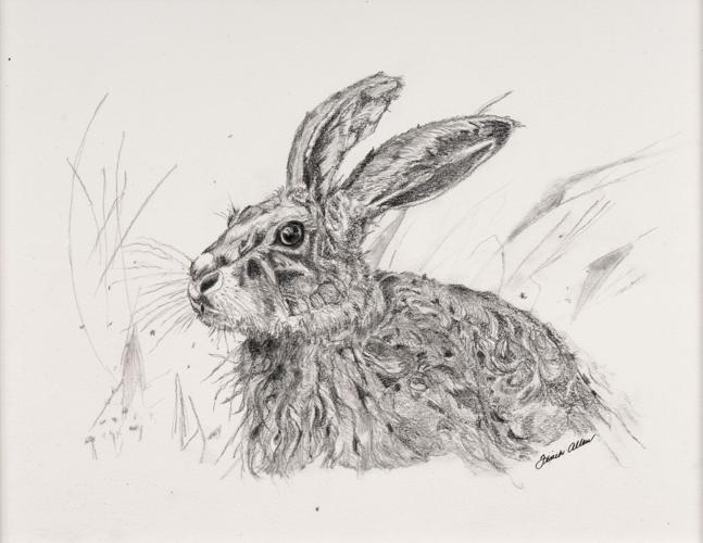 Lake Martin Living Art & Photo Contest