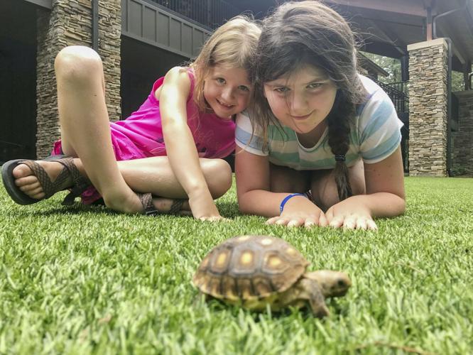 Endless hours of outdoor fun at AWF