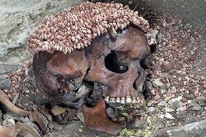 Ice Age ‘Prince’ mauled by cave bear study reveals