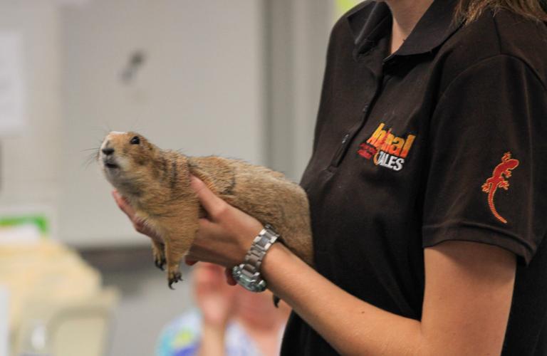 PHOTOS: Animal Tales comes to Dadeville's library