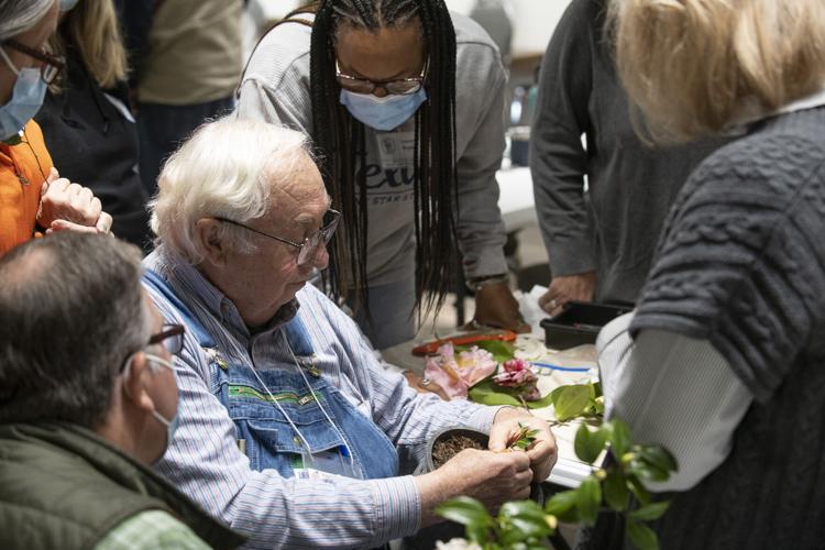 PHOTOS: Camellia grafting workshop