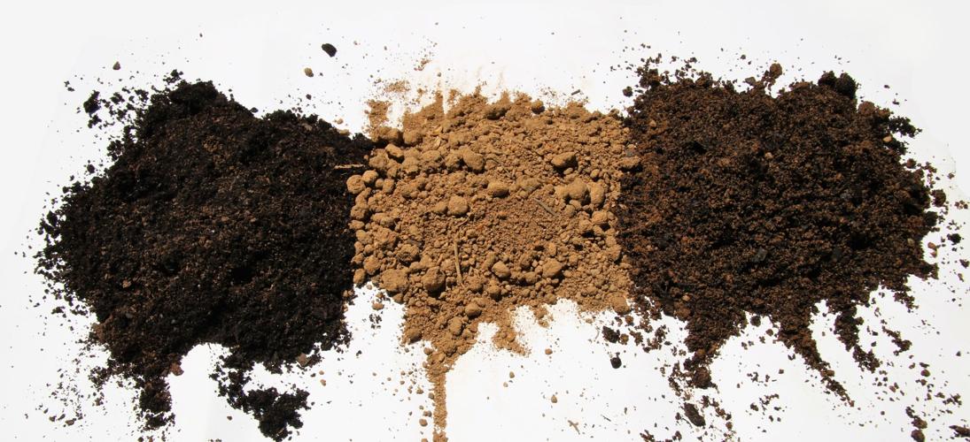 It all starts with the soil