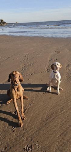 Storms reveal rare 2,000-year-old footprints on Scottish beach