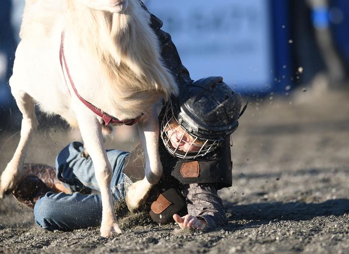 Wetumpka FFA Alumni Rodeo