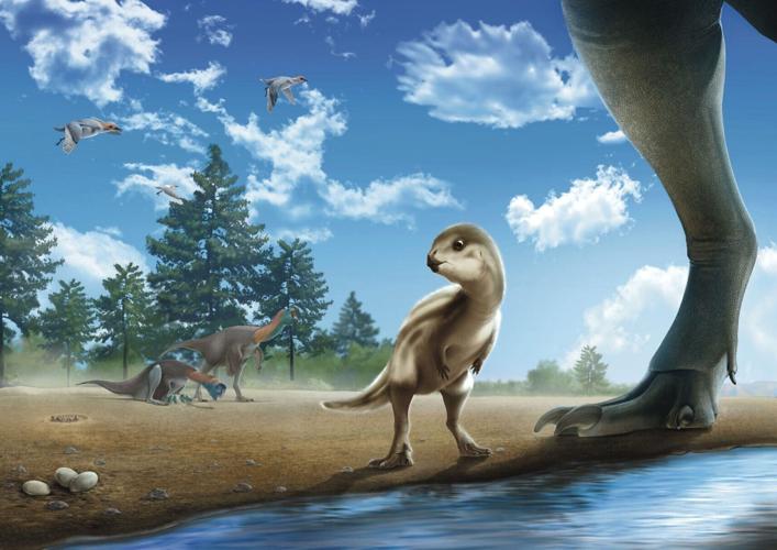 Adorable baby dinosaur so cute it’s been named after cartoon character