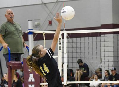 071526 wetumpka VB play date 02.jpg