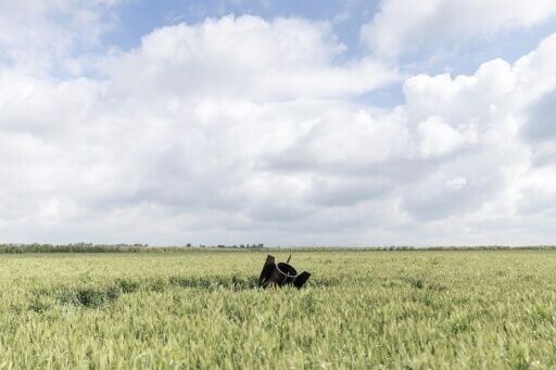 Remnants of an Iranian missile are seen near the border between the Israeli-annexed Golan Heights and Syria