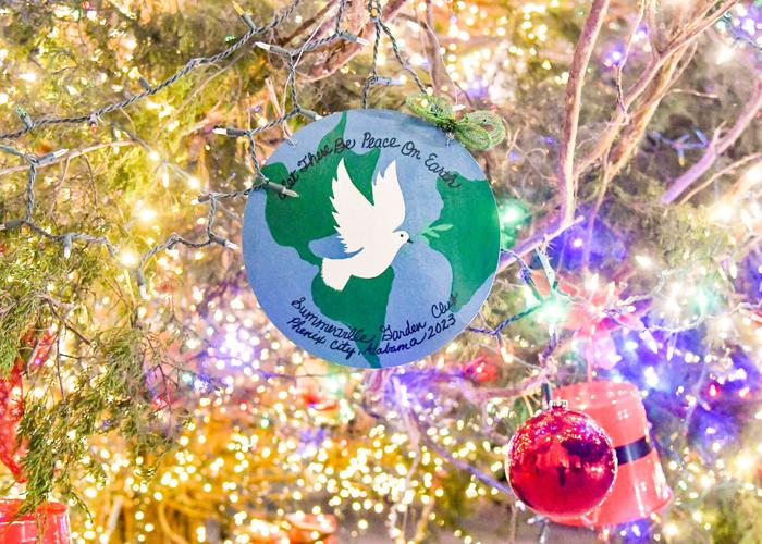 State Christmas tree hails from Rockford