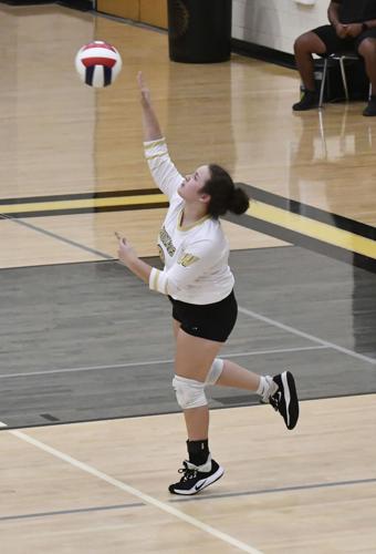 Wetumpka volleyball area championship