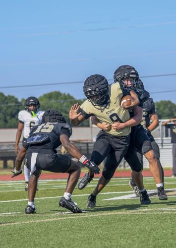 black and gold 05.jpg