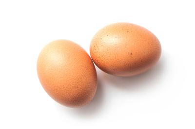 The Egg: Flavorful & Fun